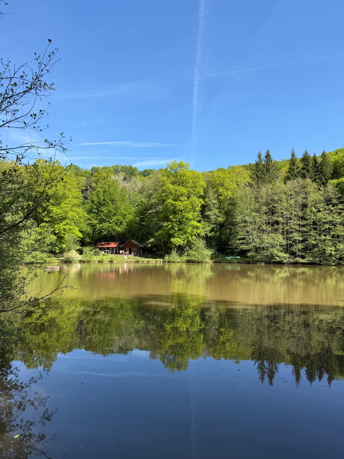 Photo 5/10 — Chalet « Petit chalet et étang à Moffans-et-Vacheresse » à Moffans-et-Vacheresse Haute-Saône