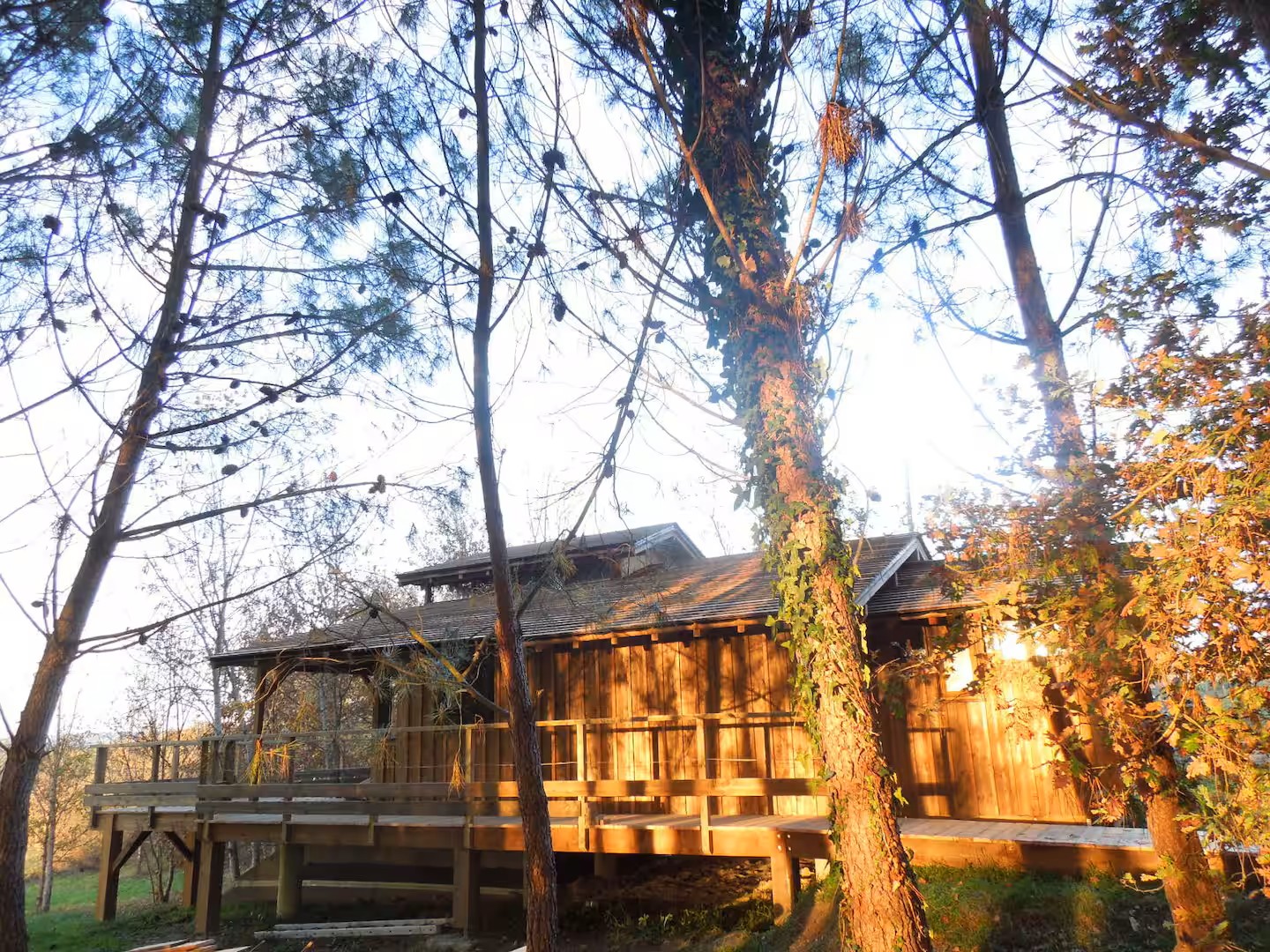 Photo 10/10 — Cabane sur pilotis « Cabane sur pilotis et étang, Bonnes » à Bonnes Charente
