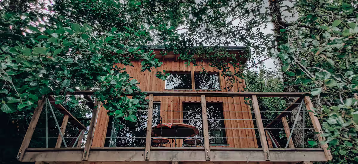 Photo 5/10 — Cabane « Cabane dans les bambous, étang à Gurat » à Gurat Charente