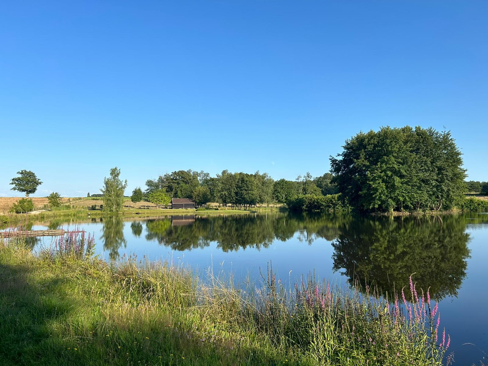 Photo 7/10 — Cabane « Cabane de pêche rustique, près de Lons » à Vincent-Froideville Jura
