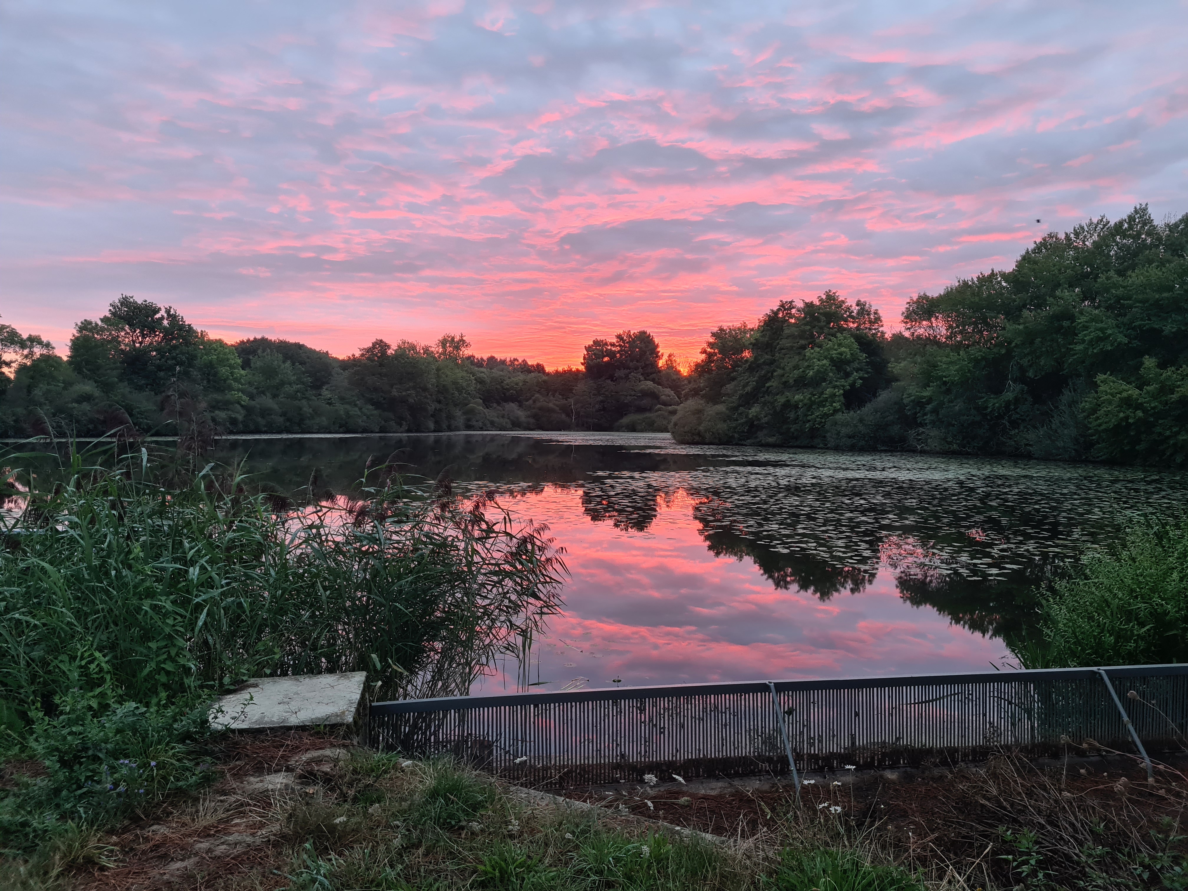 Photo 2/10 — Bateau « Bateau-cabane privatif à Chavagnes-les-Redoux » à Chavagnes-les-Redoux Vendée